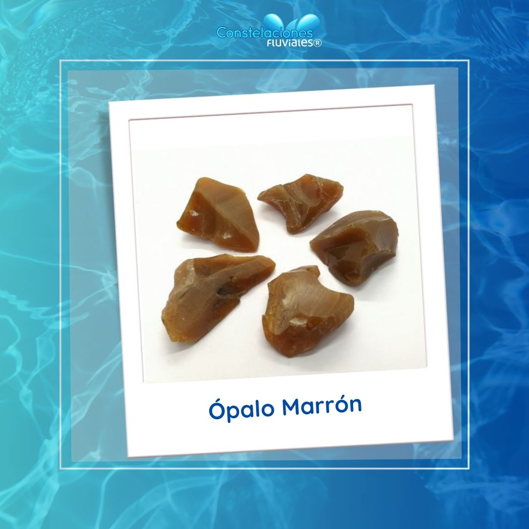 Deudas no economicas. - Imagen 4