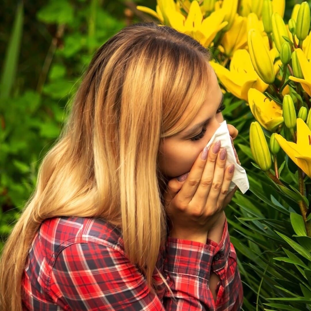 Alergia al Polén