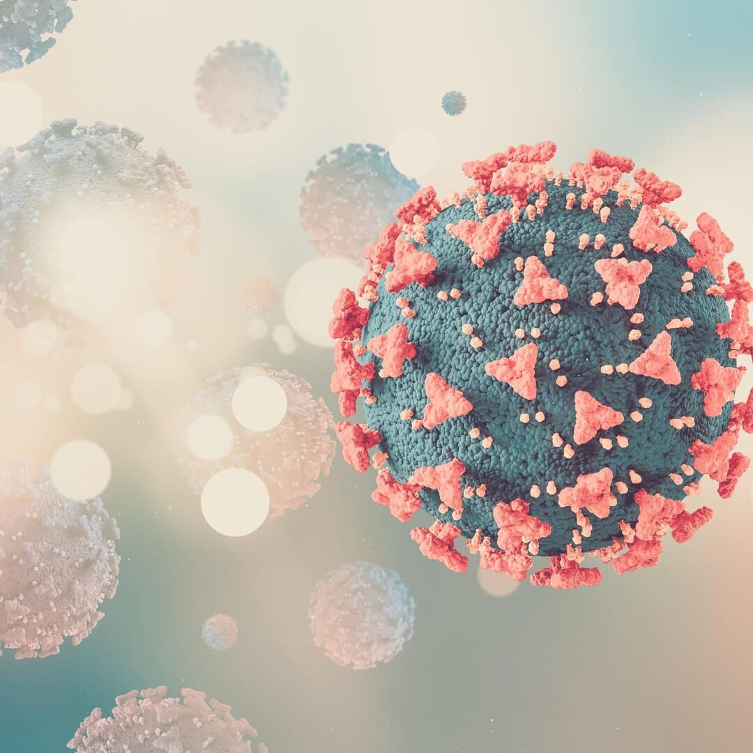 VPH Virus del Papiloma Humano